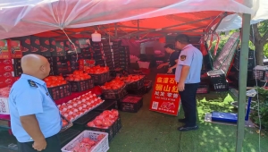 临潼市场监管局开展“临潼石榴”地理标志保护产品专项检查