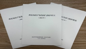 2024年西安知识产权发展与保护状况白皮书发布