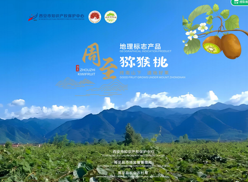 周至猕猴桃地理标志宣传画册(中英对照版封面 周至猕猴桃地理标志宣传画册(中英对照版封面